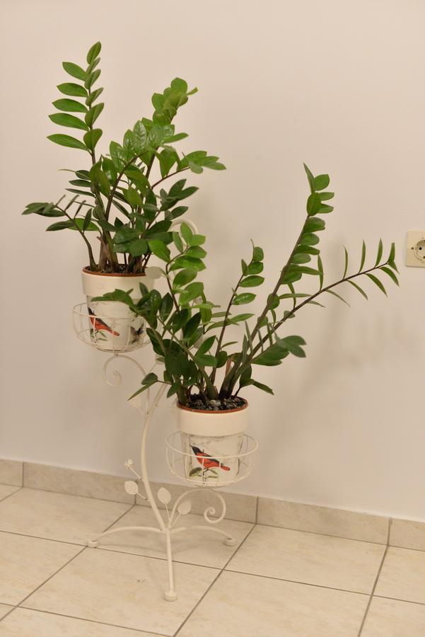 Diogenis Apartment Ретимно Екстериор снимка